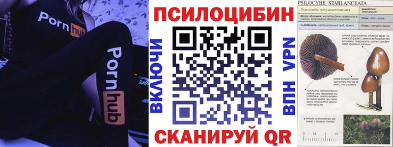 Псилоцибиновые грибы MAGIC MUSHROOMS mega зеркало Чайковский