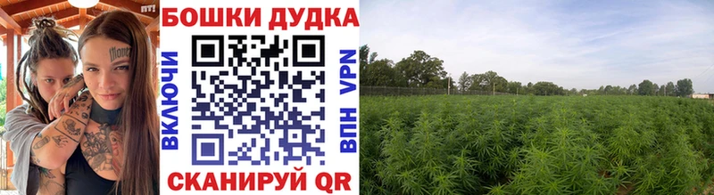 дарк нет официальный сайт  магазин  наркотиков  Чайковский  Бошки марихуана индика 